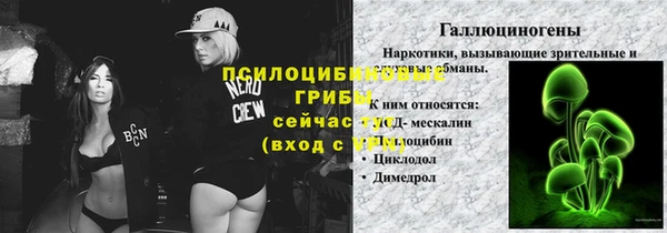 ALPHA PVP Майский