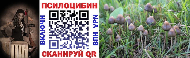 Псилоцибиновые грибы ЛСД Славгород
